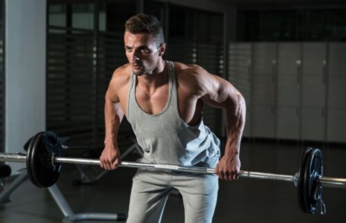 Die 9 besten Langhantel Übungen 2023 - Fitnessgorillas